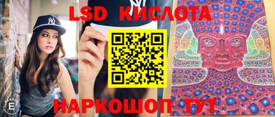 прущие грибы Лесосибирск