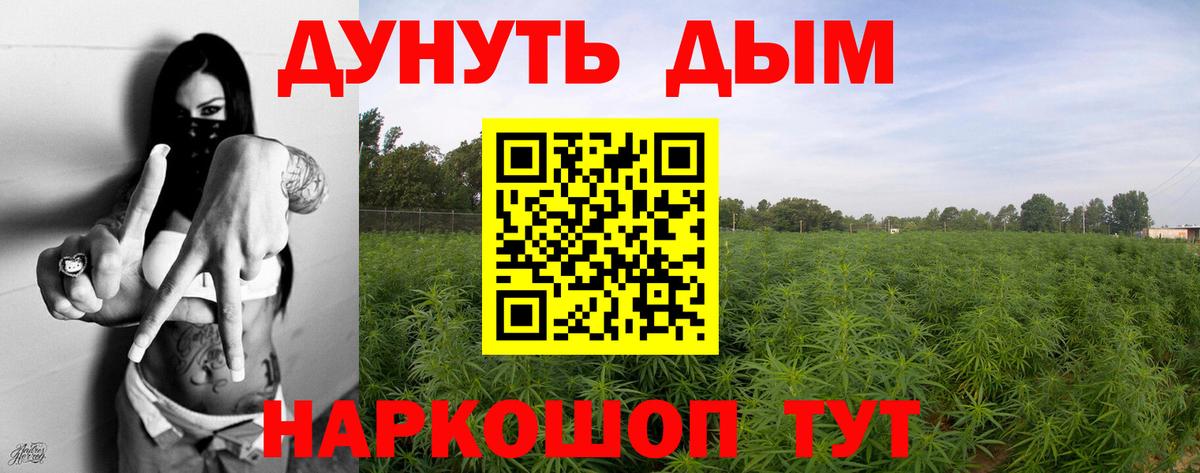 Канабис OG Kush Ханты-Мансийск